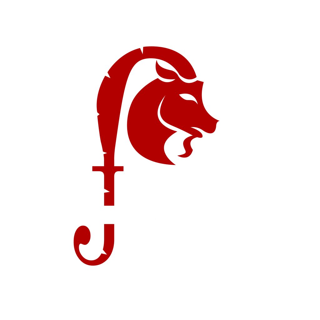 Dj JSI logo